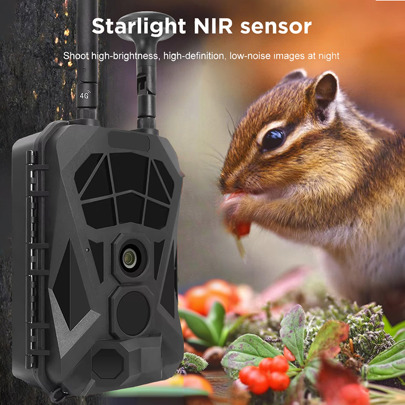Outdoor Hunting Camera Wireless - กล้องเส้นทาง 4G GPS ไร้สายอินฟราเรดระยะไกลกล้องล่าสัตว์เฝ้าระวังสัตว์ป่ากลางแจ้ง