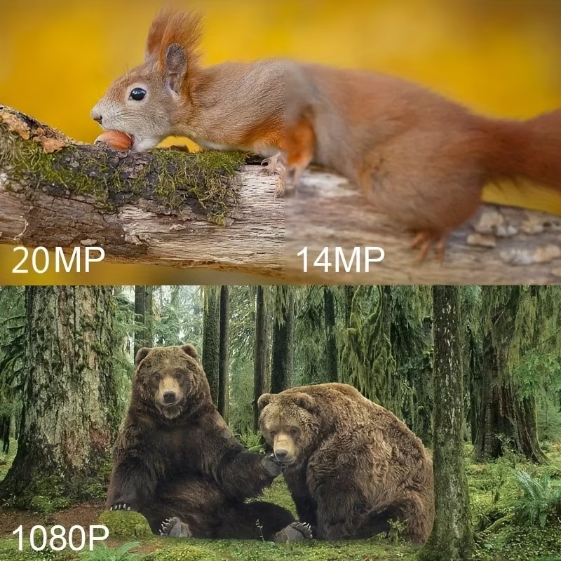 กล้องติดตามสัตว์ป่ากลางแจ้ง 10 - Outdoor Hunting Camera Wireless บทวิจารณ์และราคา