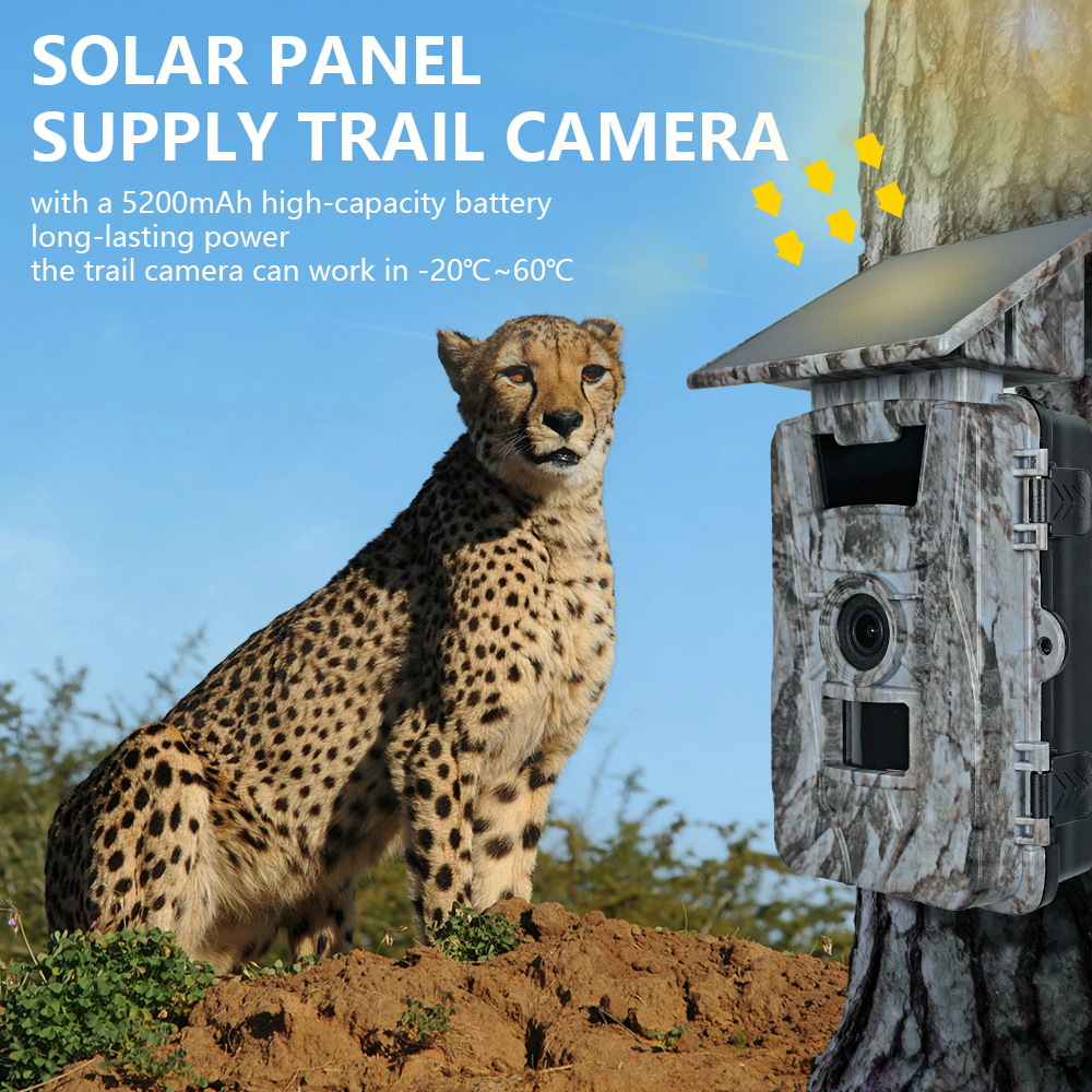 กล้องติดตามสัตว์ป่า Solar WiFi - Outdoor Hunting Photography บทวิจารณ์และราคา