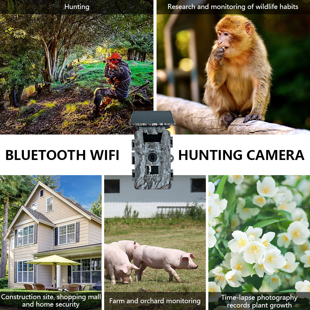 กล้องติดตามสัตว์ป่า Solar WiFi - Outdoor Hunting Photography บทวิจารณ์และราคา