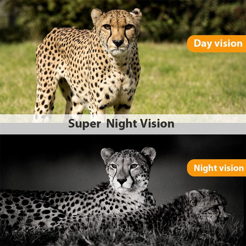 กล้องติดตามสัตว์ป่า รุ่น-801A  - Outdoor Hunting Camera Wireless บทวิจารณ์และราคา