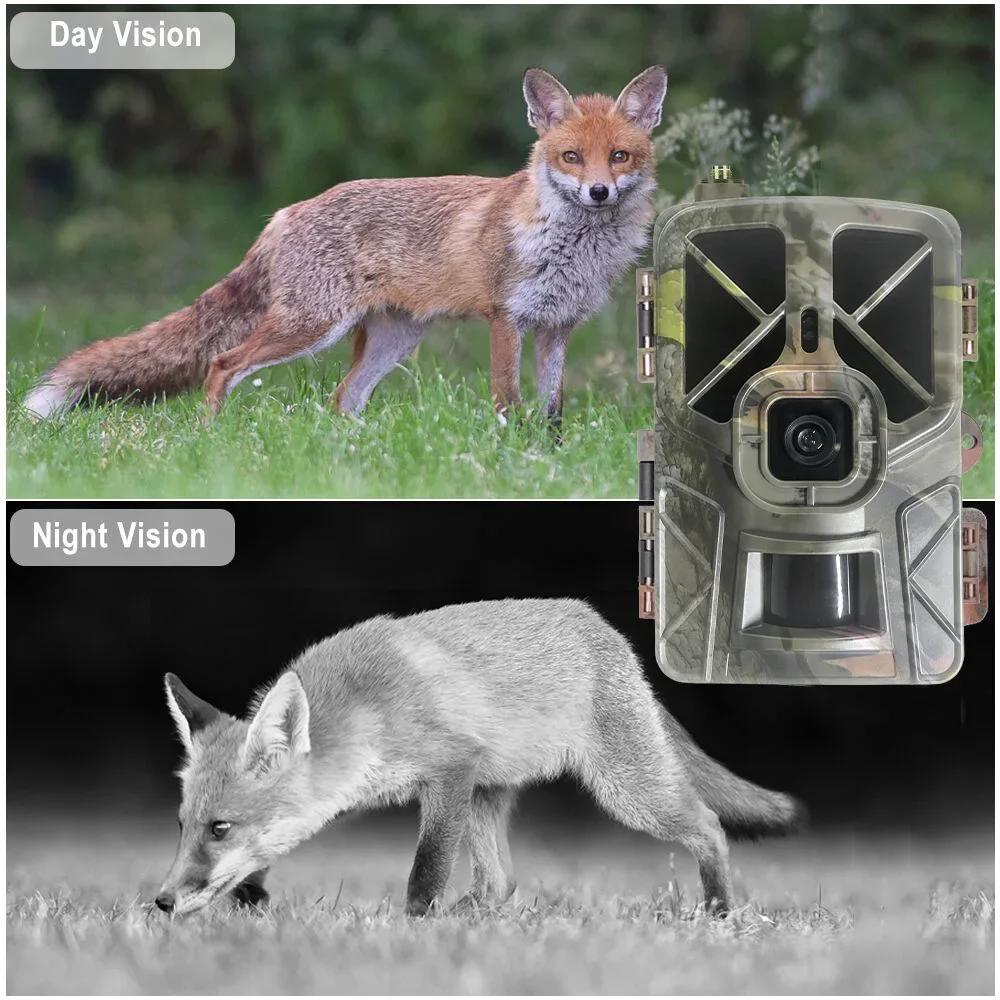 HC-935Pro 2K ลูกเสือสัตว์ป่ากล - Outdoor Hunting Camera Wireless บทวิจารณ์และราคา