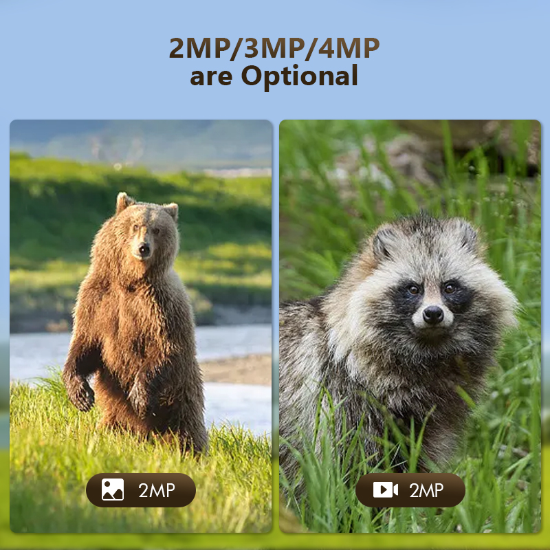 กล้องล่าสัตว์ป่ากลางแจ้ง4MP 4G - Outdoor Hunting Camera Wireless บทวิจารณ์และราคา