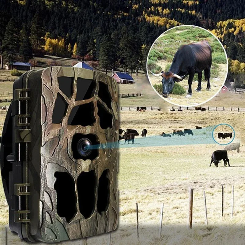 H982 IP66กันน้ำ4K กลางแจ้งอินฟ - Outdoor Hunting Camera Wireless บทวิจารณ์และราคา